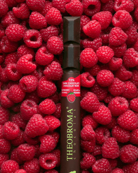 72% Dark Chocolate Bar with Raspberry 35g