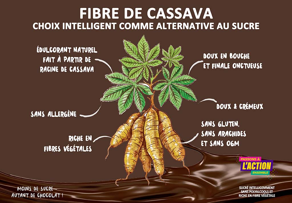 Theobroma_chocolat_blogue_fibre de cassava choix intelligent comme alternative au sucre